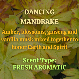 Dancing Mandrake Incense